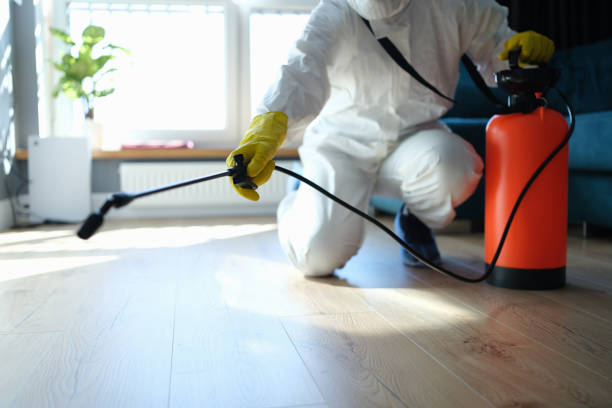 Reliable Odor Removal contractor in De Soto, MO by Trauma Clean Pros